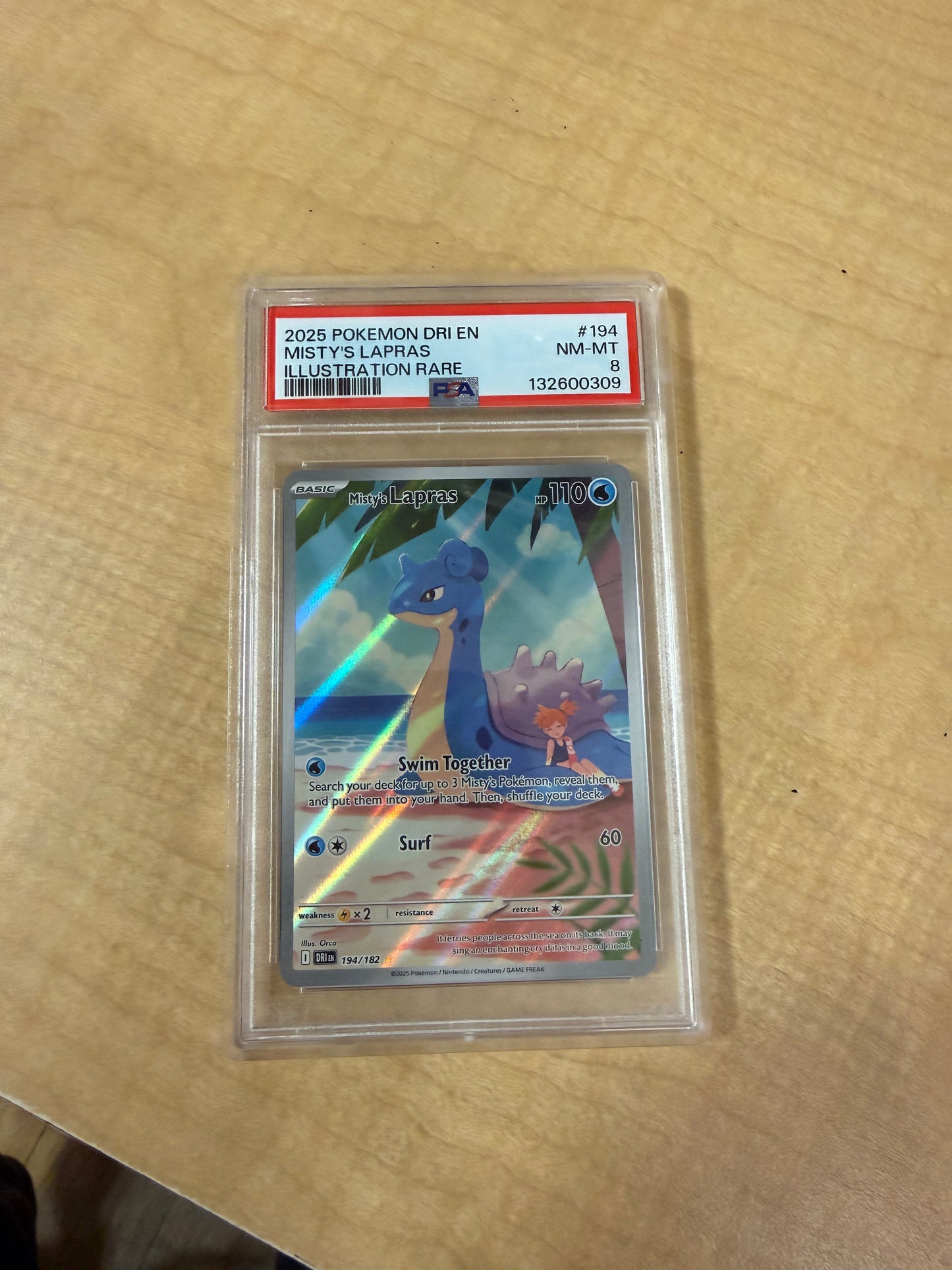 2025 Dri En Misty Lara’s Psa 8