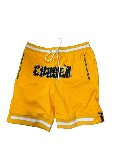 Chosen 1 Shorts Bumble bee